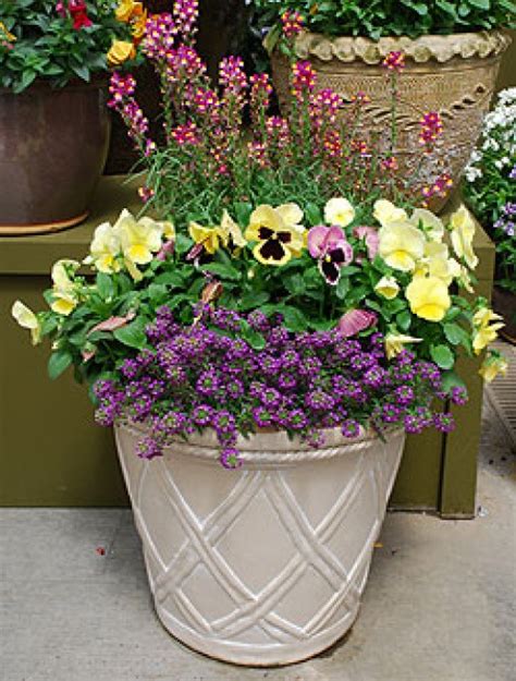 Oman Landscape Ideas For Container Planting Uk