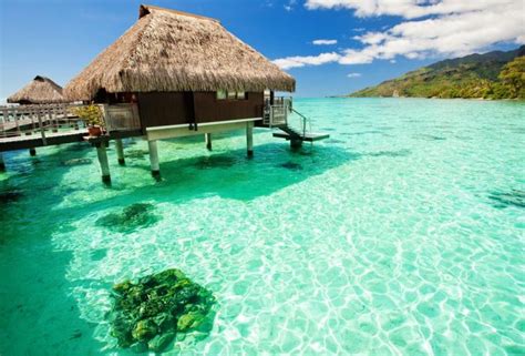 Bora Bora Is A Magical Place 31 Pics