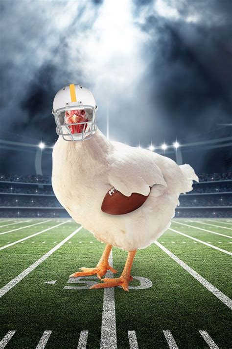 Our Chickens Are Super Excited To Have The Biggest Football Game Of The