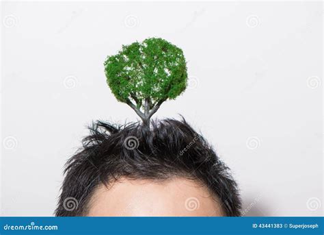 Head Growing Trees Stock Image Image Of Grass Individuality 43441383