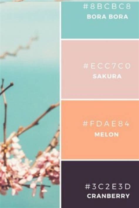 Vibrant Color Palette Combos Take Colors From The World To Inspire