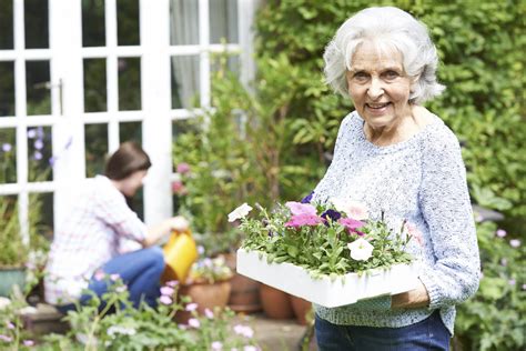 How You Can Help Seniors Avoid Social Isolation Baywoodbaywoodhomecare