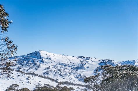1 Day Snow Trip From Canberra Ozia Tours