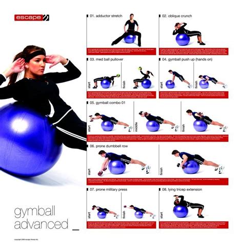 Exercise Ball Chart Ball Exercises Advanced Workout Exercise