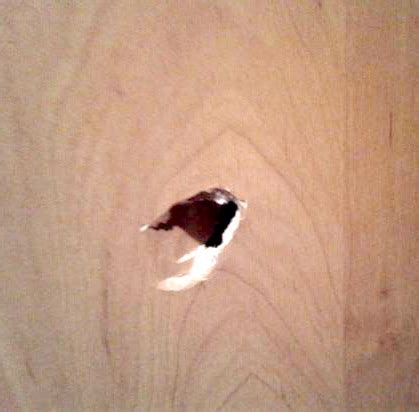 How do i fix a hole in a hollow door? wood - How can I repair a puncture in a hollow-core wooden ...