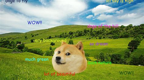 Doge Meme Wallpaper Wallpapersafari