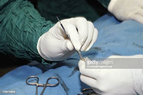 Handing Scalpel Photos And Premium High Res Pictures Getty Images
