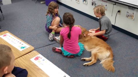 Bring Your Pet To School Day Stewart Elementary Youtube