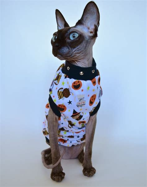 Sphynx Cat Clothing | Halloween Costume | Cat Costume Style | Cat