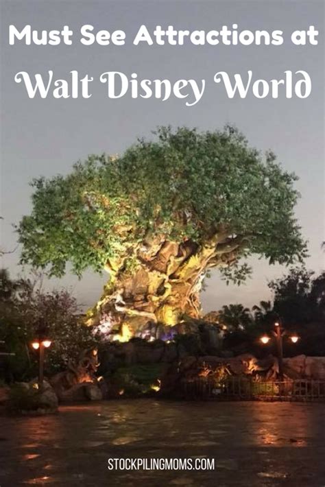 Must See Attractions At Walt Disney World