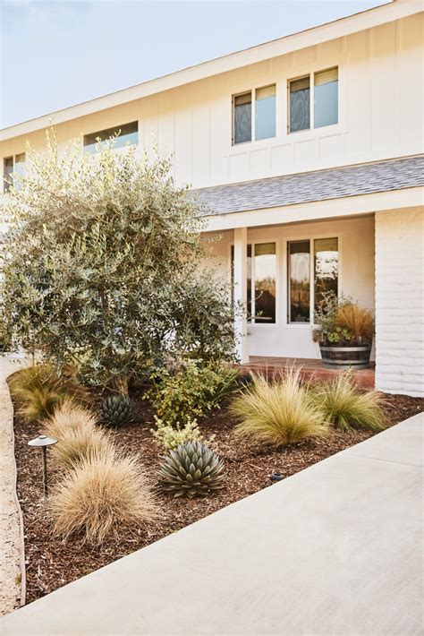 Guide To Drought Tolerant Landscaping What Why And How Yardzen