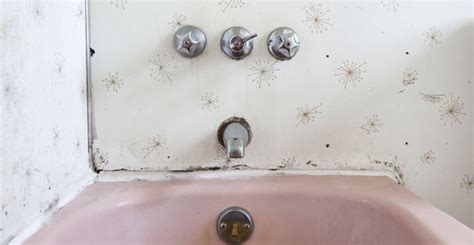 An diesen orten verstecken sich schimmelpilze besonders gern: Schimmel in der Wohnung: Was tun?