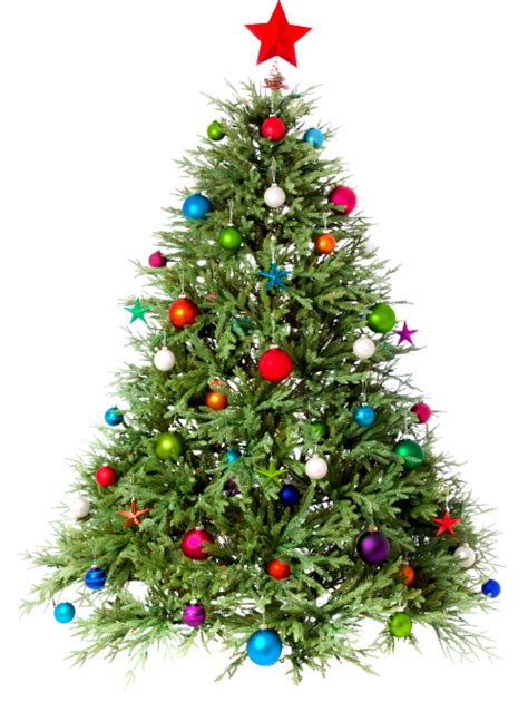 Free for commercial use high quality images Xtmas Tree png image transparent