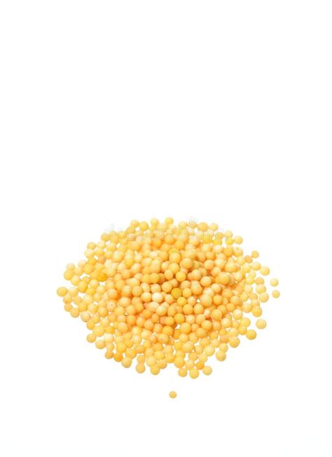Yellow Mustard Seeds Stock Photo Image Of Natural Closeup 53850456
