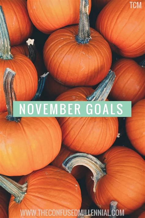 November Goals The Confused Millennial