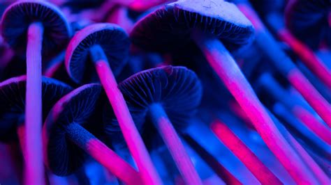 Psilocybin The Main Ingredient In Magic Mushrooms Live Science