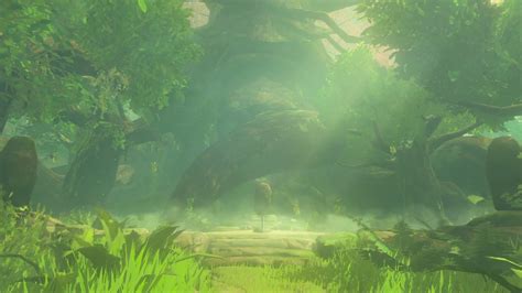 Hyrule Blog The Zelda Blog Breath Of The Wild The Deku Tree Returns