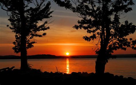 Good Morning Trees Sun Silhouette Sunrise