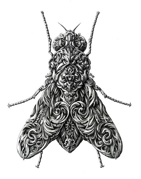 Simply Creative: Intricate Insect Drawings by Alex Konahin