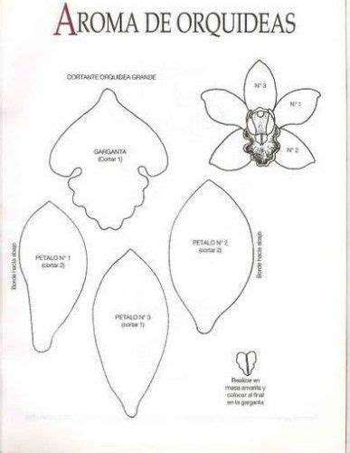 Manualidades En Foamy Orquídea Blog De Imágenes