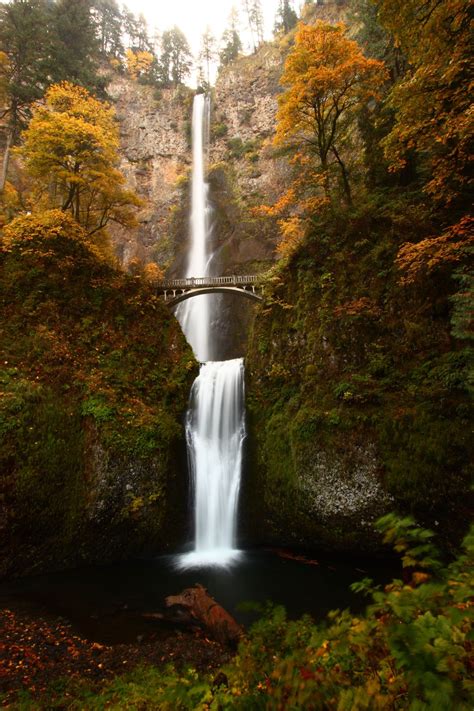 Multnomah Falls Multnomah Falls Waterfall Photo Oregon Waterfalls