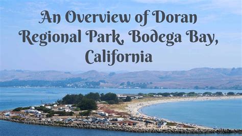 The Day Use Areas And Campgrounds Of Doran Regional Park In Bodega Bay Ca Youtube