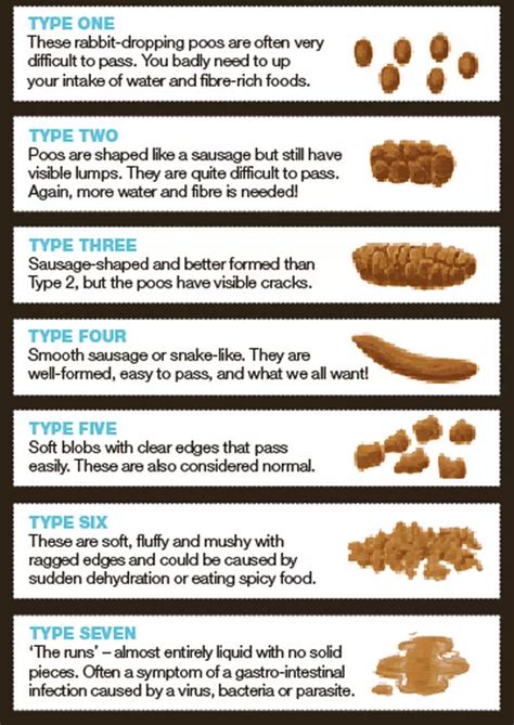 Bristol Stool Chart Pdf Stools Item