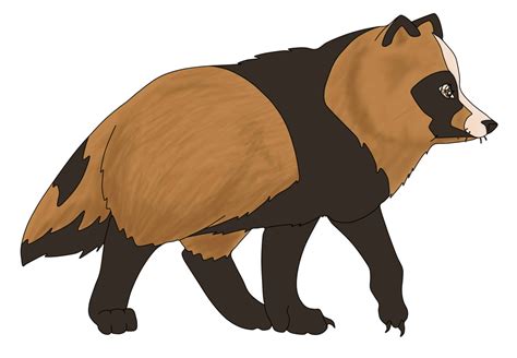 Download Raccoon Dog Clipart For Free Designlooter 2020 👨‍🎨