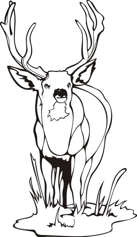 38+ free hunting coloring pages for printing and coloring. Free Printable Elk Coloring Pages - Coloring Home