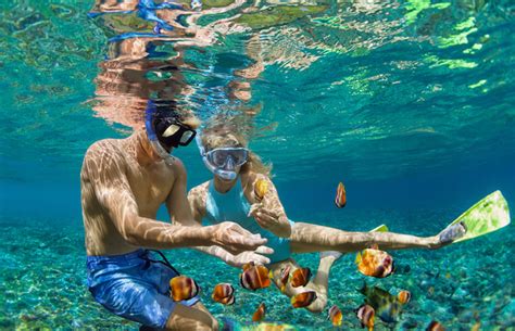 7 Of The Best Places For Snorkeling In Southern California Big 7 Travel