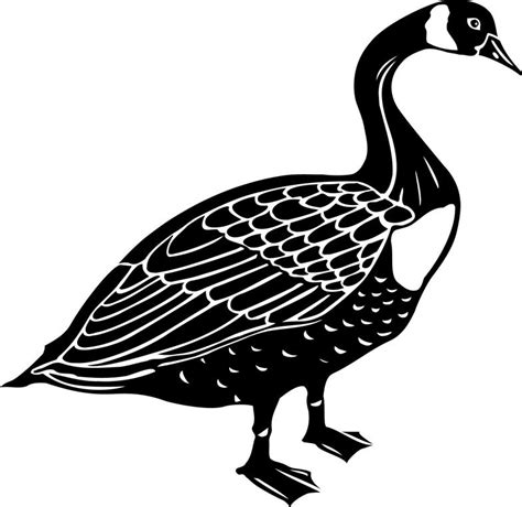 Free Images Of Geese Download Free Images Of Geese Png Images Free