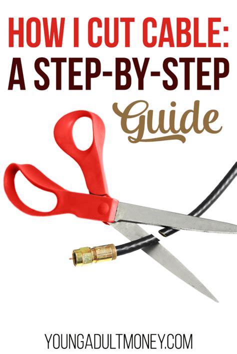 How I Cut Cable In 2017 A Step By Step Guide Young Adult Money