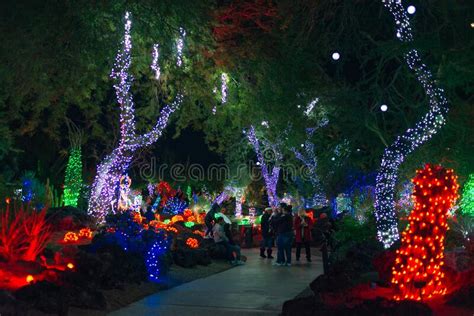 The springs preserve is the premier place in las vegas for families to explore the valley's vibrant history through interactive science. Botanical Cactus Garden Las Vegas. - Dec, 2019 Colorful ...