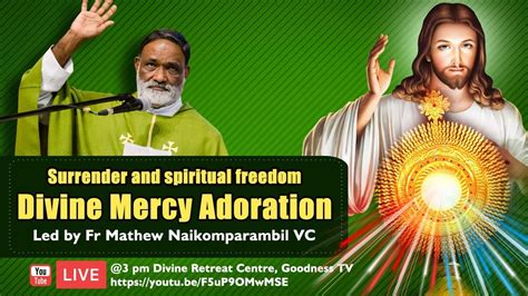 Divine Mercy Adoration 26 May 2020fr Mathew Naikomparambildivine