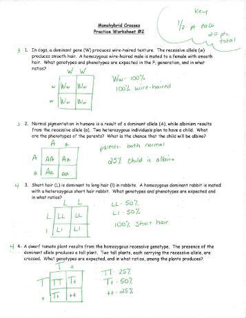 Make you have a nice day. Holt Mcdougal Biology Study Guide A Answer Key Section 4