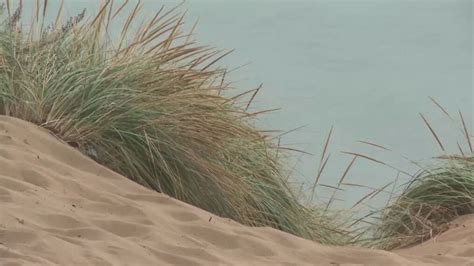 Indiana Dunes State Park Beach Closes To Swimming Wsbt