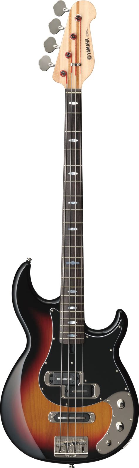 Bb Series Overview Basses Guitars Basses And Amps Musical