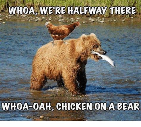 19 Amusing Bear Meme Pictures Images And Photos Memesboy