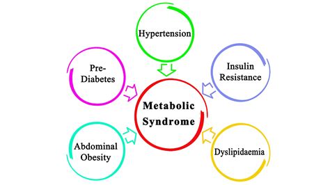 What Is Metabolic Syndrome South Carolina Clinical Research