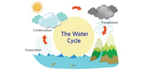 The Wonderful Water Cycle Quiz Questions Trivia And Questions