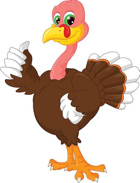 170 Funny Looking Turkeys Cartoon Stock Illustrations Royalty Free