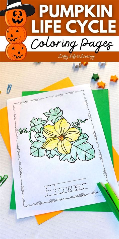 Pumpkin Life Cycle Coloring Pages