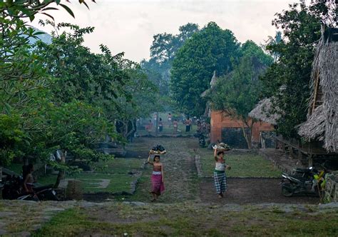 Pride And Preservation In Desa Tenganan Pegringsingan Traditional Village Now Bali