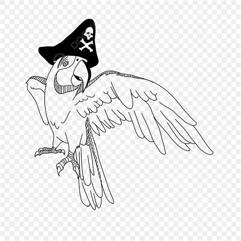 Creative Design Illustration Pirate Picture Parrot Rat Drawing Pirate