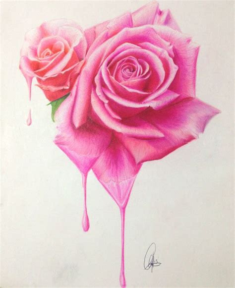 2 Pink Roses Beautiful Flower Drawings Realistic Flower Drawing