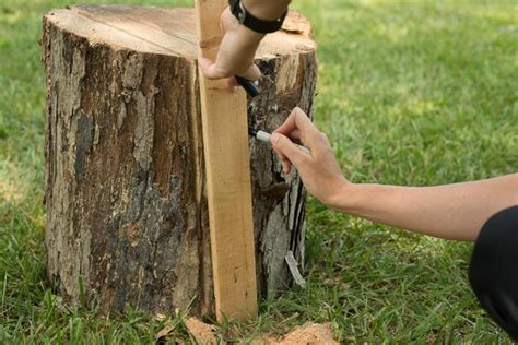 How To Make A Cutting Board Out Of A Tree Ehow