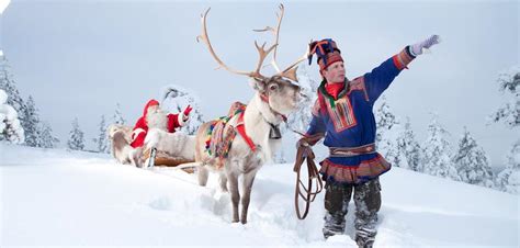 Have you ever wondered how santa claus chooses his reindeer? Life In Lapland - Santa Claus Reindeer
