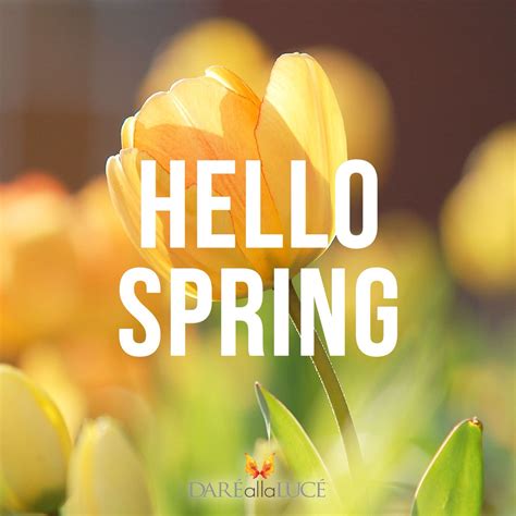 Spring has sprung! #spring #springtime #spring2015 #dareallaluce | Spring has sprung, Hello ...