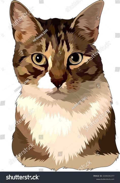 15215 Tabby Cat Drawing Images Stock Photos And Vectors Shutterstock