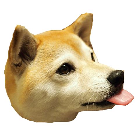 Dog Head Png Png Image Collection